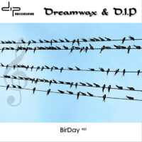 Dreamwax & DIP - BirDay EP (DIP016) cover art for Dip Recordings