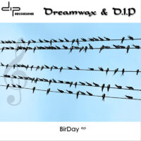 Cover of Dreamwax & DIP - BirDay EP (DIP016) on DIP Recordings.
