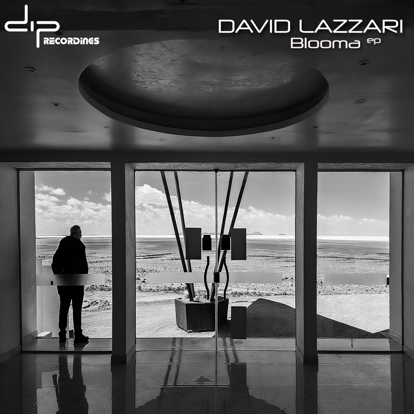 David Lazzari - Blooma EP (DIP027) cover on DIP Recordings.